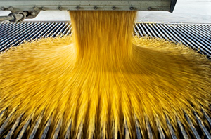 Revue des marchés - 3 février 26