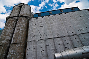 Revue des marchés - 16 mars 26