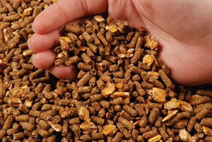 Revue des marchés -17 mars 26