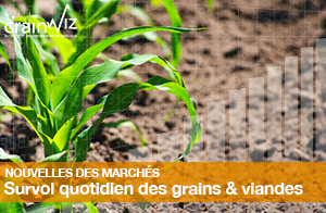 Revue des marchés - 15 mai 26