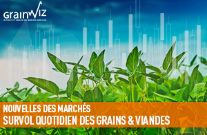 Revue des marchés - 7 juillet 26
