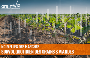 Revue des marchés - 23 juin 26