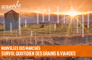Revue des marchés - 25 juin 26