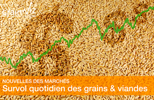 Revue des marchés - 17 juin 26