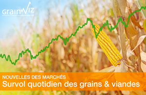 Revue des marchés - 15 octobre 26