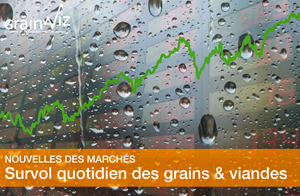 Revue des marchés - 12 juin 26