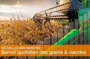 Revue des marchés - 25 septembre 26