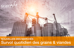 Revue des marchés - 26 mai 26