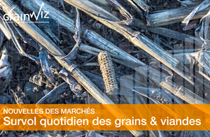 Revue des marchés - 27 février 26